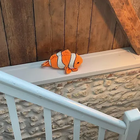 Nemo Maison De Pecheur Port-plage Avec Echappee * Fécamp